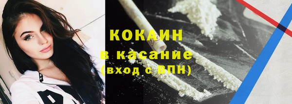 индика Богородск