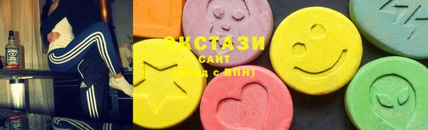 индика Богородск
