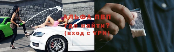 прущие грибы Беломорск