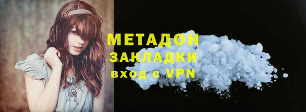 прущие грибы Беломорск