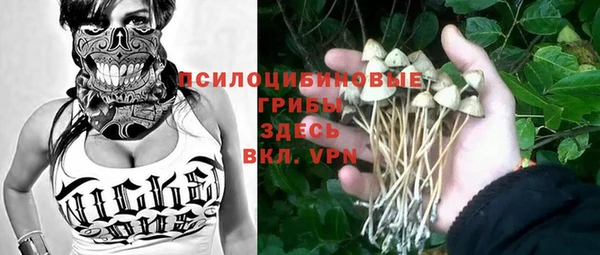 прущие грибы Беломорск