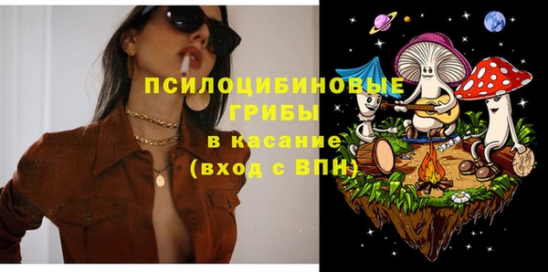 прущие грибы Беломорск