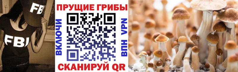 Псилоцибиновые грибы ЛСД  Купить закладки  Островной 